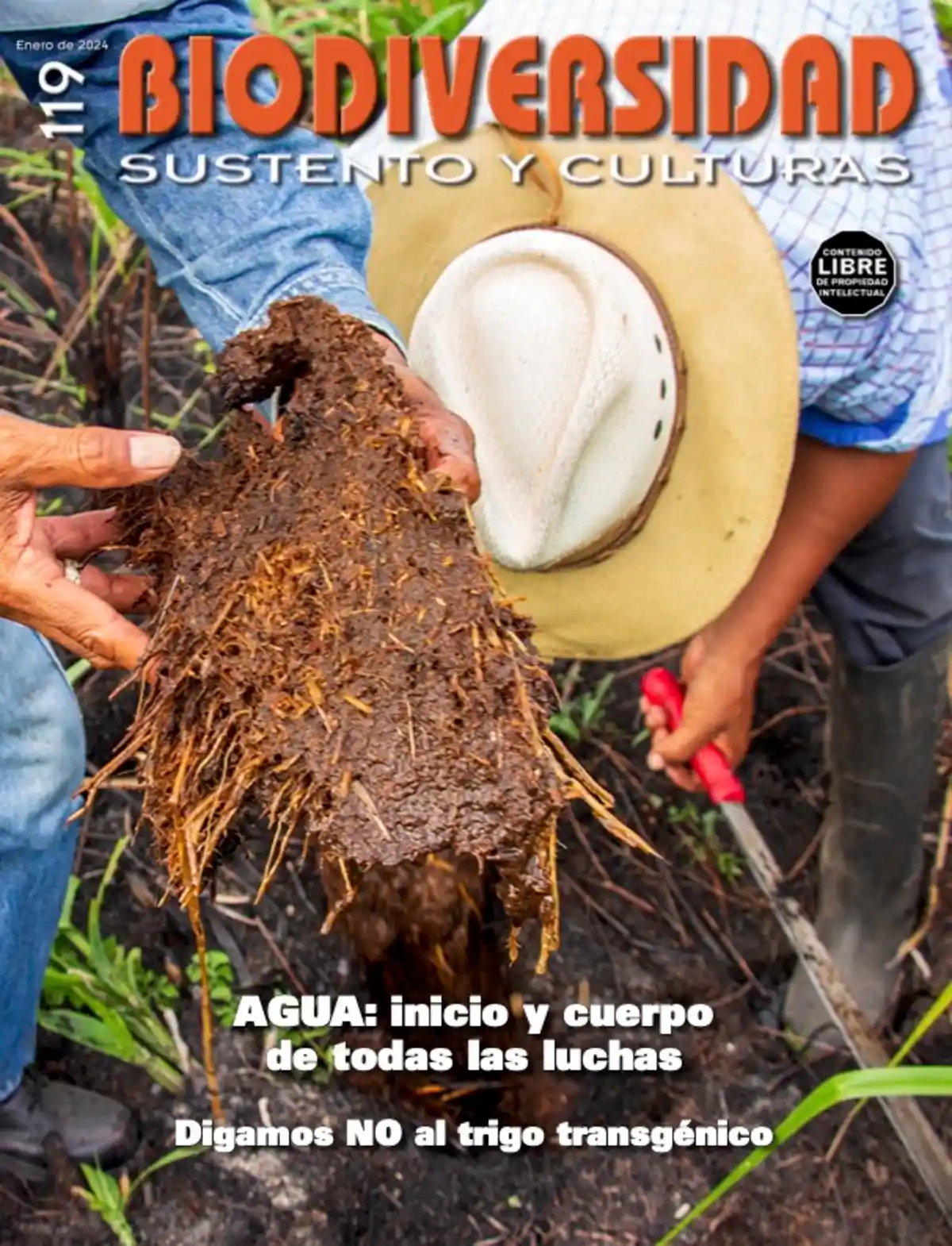 AGUA: inicio y cuerpo de todas las luchas Digamos NO al trigo transgénico