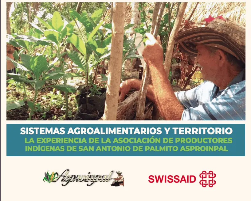 Sistemas agroalimentarios y territorio – la experiencia de la Asociación de Productores Indígenas de San Antonio de Aalmito – ASPROINPAL