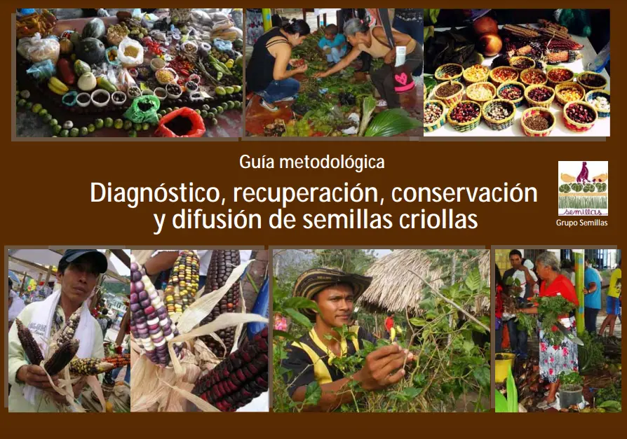 Guía metodológica Diagnóstico, recuperación, conservación y difusión de semillas criollas