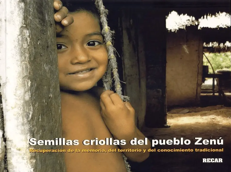 Semillas criollas del pueblo Zenú. Recuperación de la memoria, del territorio y del conocimiento tradicional