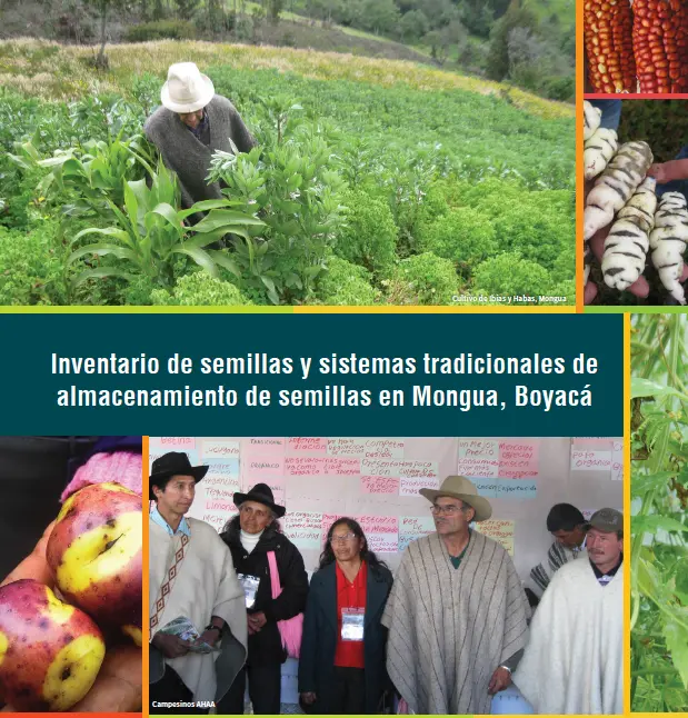 Inventario de semillas y sistemas tradicionales de almacenamiento de semillas en Mongua, Boyacá